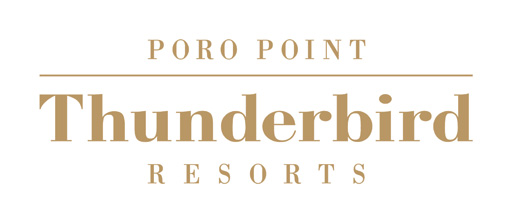 thunderbird-2010-property-logo-poro-low-res